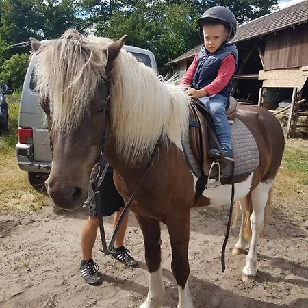Vakantiehuis Sominkowe Wzgorze *