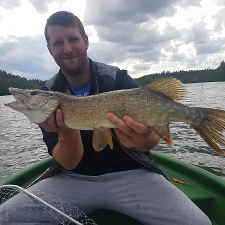 Sominkowe Wzgorze * Sominy