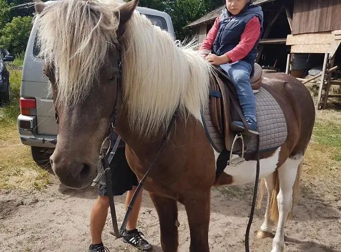 Semesterbostad Sominkowe Wzgorze *