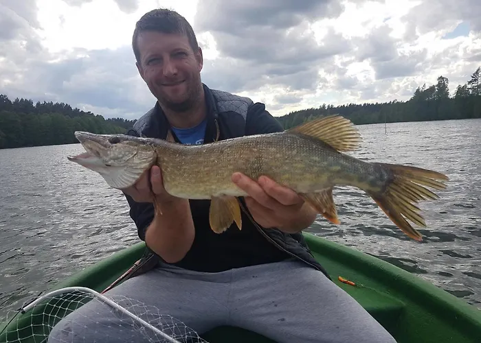 Sominkowe Wzgorze * Sominy